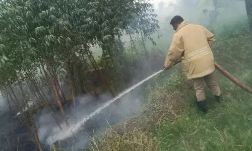 புல்வெளியில் பரவிய தீயால் பரபரப்பு