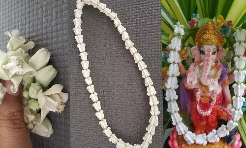 எதிர்மறை சக்திகளை விரட்டும் எருக்கம் பூ மாலை