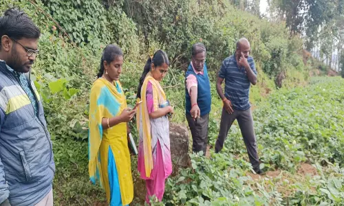 தோட்டக்கலைத்துறை சார்பில் பயிர்களில் வைரஸ் தாக்கத்தை தடுப்பது குறித்த பயிற்சி