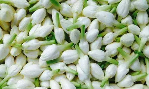 விநாயகர் சதுர்த்தியை முன்னிட்டு தோவாளை சந்தையில் பூக்கள் விலை உயர்வு