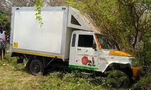 மரத்தில் வேன் மோதி டிரைவர் படுகாயம்