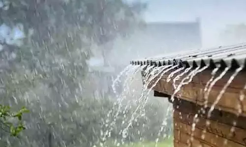 திருப்பத்தூரில் திடீர் மழை