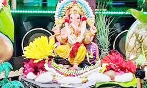 மாவட்டத்தில் 147 விநாயகர் சிலைகள் பிரதிஷ்டை