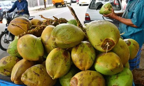 அந்தியூர் பகுதியில் வெயில் காலம் குறைந்தும் இளநீர் விற்பனை ஜோர்