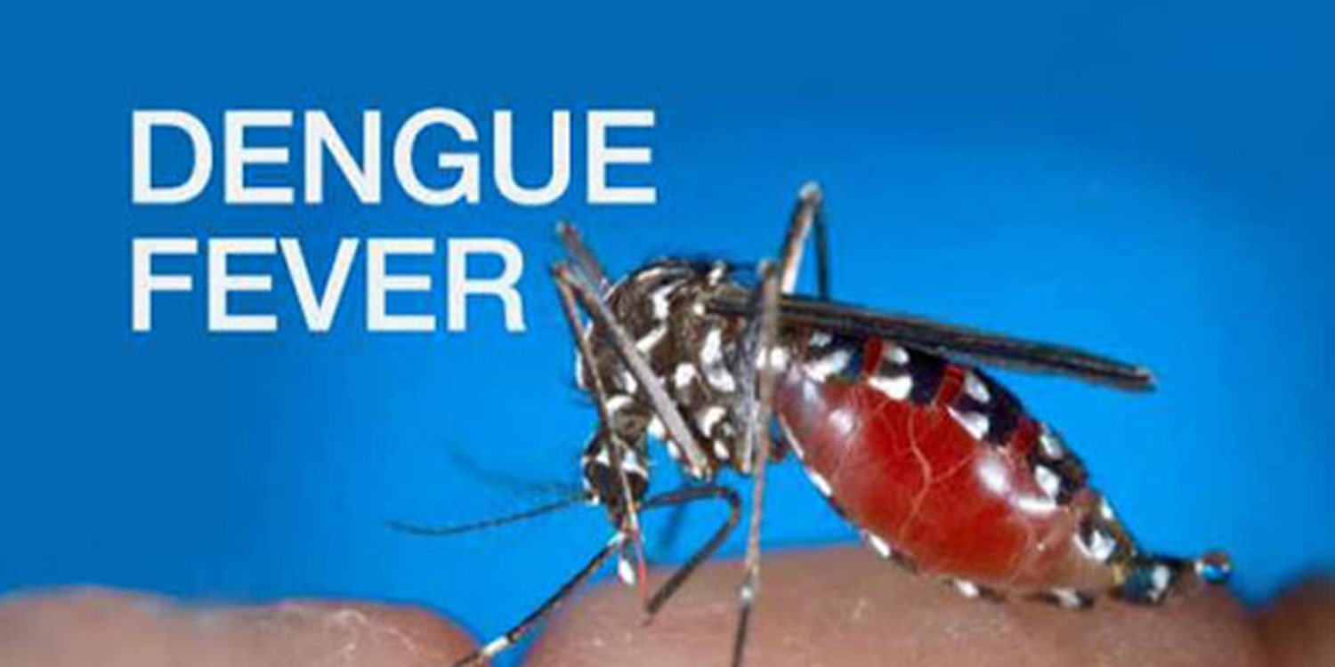 புதுக்கோட்டை மாவட்டத்தில் மேலும் 4 பேருக்கு டெங்கு: பாதிப்பு எண்ணிக்கை 81 ஆக உயர்ந்துள்ளது