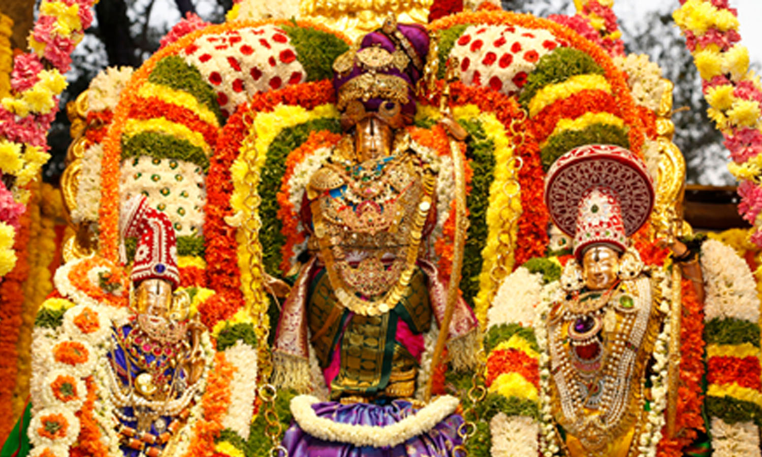 AMIRDHA main image 0