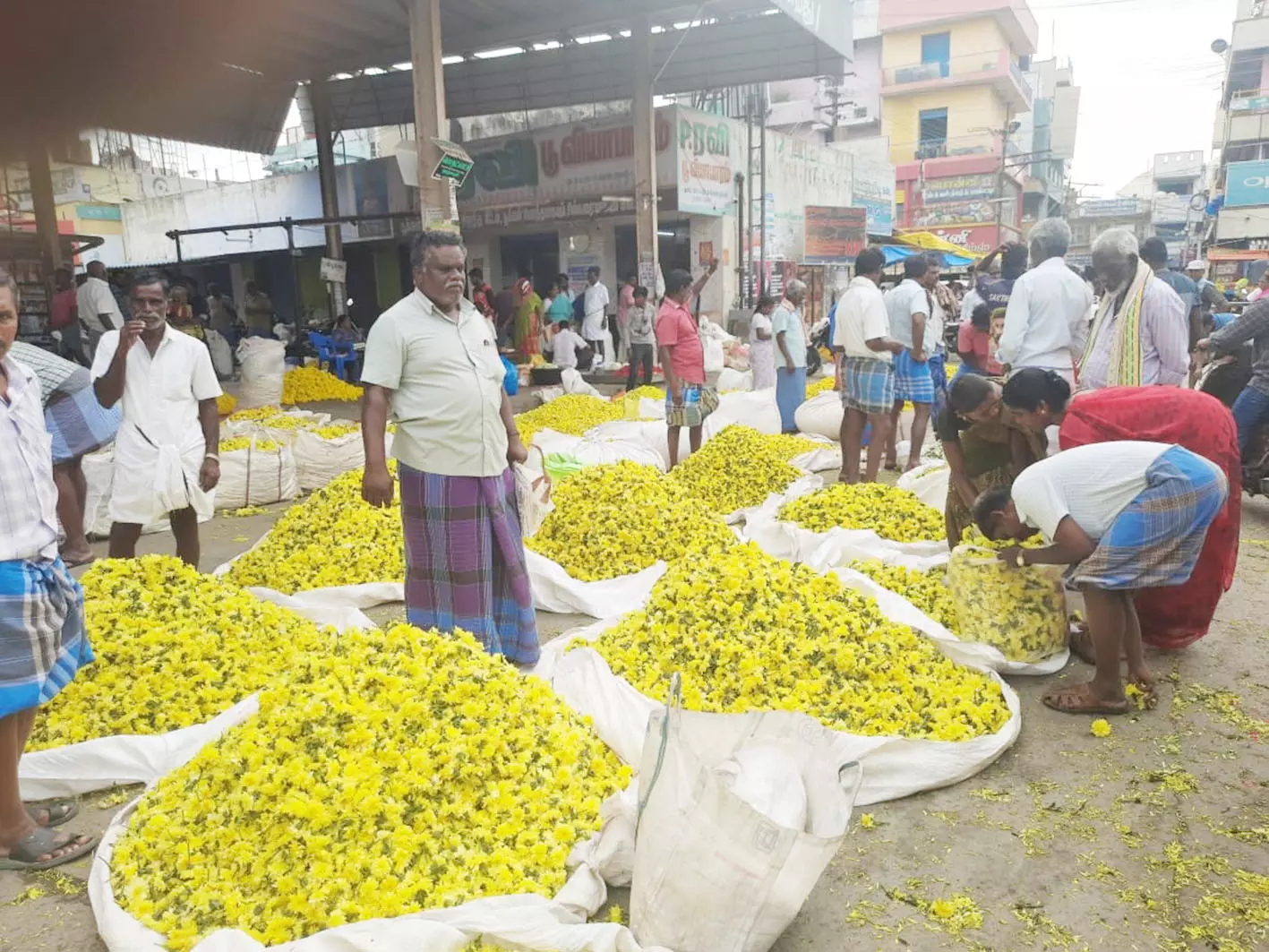 தருமபுரி மாவட்டத்தில் விநாயகர் சதுர்த்தியையொட்டி வரத்து அதிகரிப்பால் பூக்களின் விலை கடும் சரிவு சாமந்தி கிலோ ரூ.20-க்கு விற்பனை-விவசாயிகள் அதிர்ச்சி தருமபுரி மாவட்டத்தில் விநாயகர் சதுர்த்தியையொட்டி வரத்து அதிகரிப்பால் பூக்களின் விலை கடும் சரிவு சாமந்தி கிலோ ரூ.20-க்கு விற்பனை-விவசாயிகள் அதிர்ச்சி