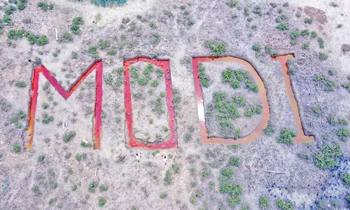 புதுச்சேரி மாங்குரோவ் காடு பகுதியில் 190 அடி நீளம், 45 அடி அகலத்தில் பிரமாண்டமாக பிரதமர் மோடி பெயர் உருவாக்கம்