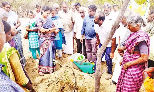 சூரியநல்லூரில் தோட்டக்கலை  சார்பில் கள ஆய்வு