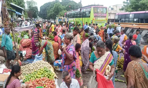 விநாயகர் சதுர்த்தி விழா:  கடலூரில் பூஜை பொருட்கள், பழ வகைகள் விற்பனை மும்முரம்