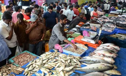 நாளை புரட்டாசி மாதம் தொடங்குவதால்இறைச்சி, மீன் கடைகளில் விற்பனை அதிகரிப்பு