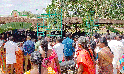 பட்டத்தரசி அம்மன் கோவிலில் கும்பாபிஷேக விழா