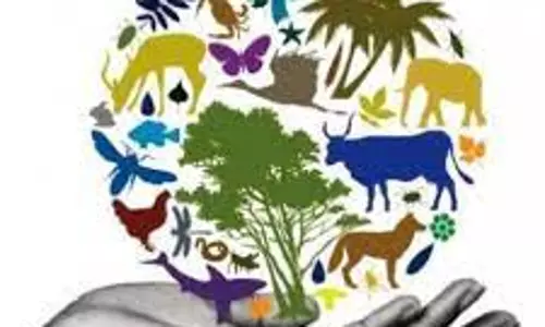 தேனாடு கிராமத்தில்  பல்லுயிர் பாதுகாப்பு முகாம்