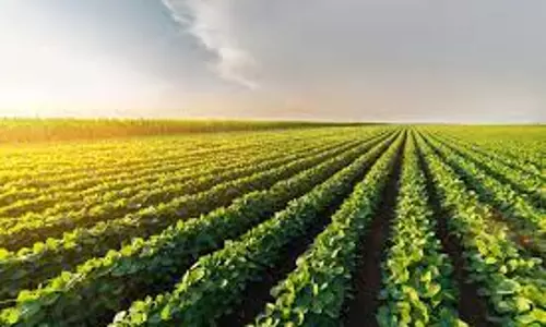 அடுத்த மாதம் அக்டோபர் முதல் வடகிழக்கு பருவமழை தொடங்க உள்ளது