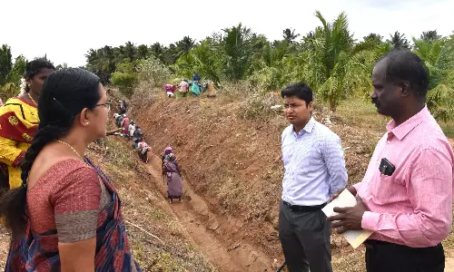 பொள்ளாச்சியில் ர.43.46 லட்சம் மதிப்பில் பாசன கால்வாய் தூர்வாரும் பணிகள்