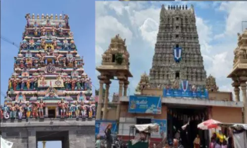 பரிக்கல் நரசிம்மர் கோவில் அமைப்பு