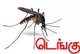 டெங்கு ஒழிப்பு பணி தீவிரம் டெங்கு ஒழிப்பு பணி தீவிரம்
