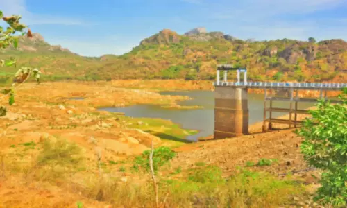 3 வாரங்களாக மழை பெய்த பிறகும் குட்டை போல் காட்சியளிக்கும் மாம்பழத்துறையாறு அணை