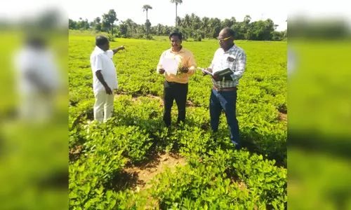 மகுடஞ்சாவடி வட்டாரத்தில் விதைச்சான்று, அங்ககச்சான்று உதவி இயக்குநர் களஆய்வு