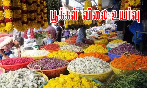 விநாயகர் சதுர்த்தியை முன்னிட்டு பூக்களின் விலை கிடு கிடு உயர்வு