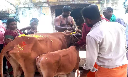 லட்சுமி நாராயண பெருமாள் கோவிலில் பாலாலய பூஜை