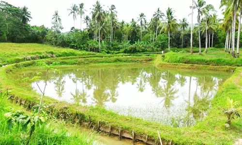 விவசாயிகளின் வரப்பிரசாதமாக அமைந்த பண்ணை குட்டை