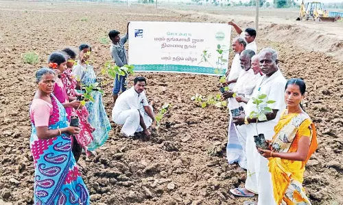 மரக்கன்றுகள் நடும் விழா