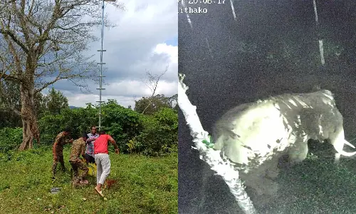 காட்டு யானைகள் நடமாட்டத்தை கண்காணிக்க அதிநவீன கருவிகளுடன் எச்சரிக்கை கோபுரம்