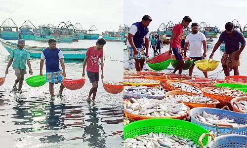 மீன்வரத்து குறைவால் மீனவர்கள் கவலை