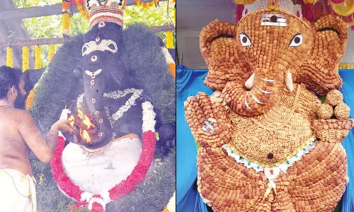 விநாயகர் சதுத்தி விழா சுசீந்திரம் அக்கரையில் பிஸ்கெட்டால் ஆன 6½ அடி உயர விநாயகர்