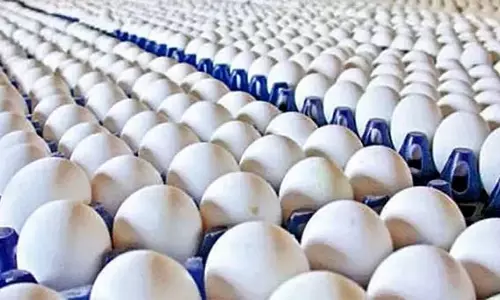 நாமக்கல்லில் முட்டை விலை உயர்வு