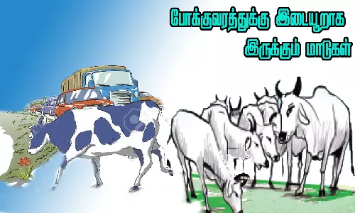 பொதுமக்களை அச்சுறுத்தும் மாடுகள்