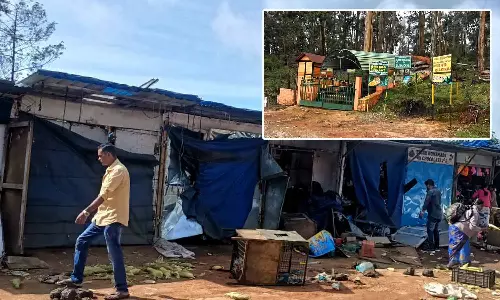 யானைகள் நடமாட்டத்தால் கொடைக்கானல் வனத்துறை சுற்றுலாத் தலங்கள் அனைத்தும் மூடல்