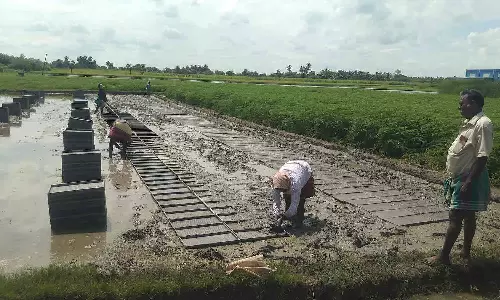 உழவு பணியை தொடங்கிய விவசாயிகள்