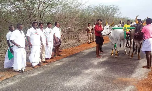 விளாத்திகுளம் அருகே மாட்டு வண்டி எல்கை பந்தயம்