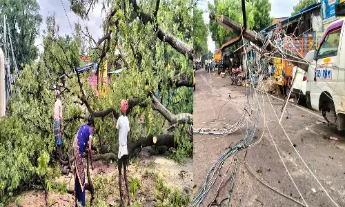 மரம் வேரோடு சாய்ந்து விழுந்து மின்கம்பம் உடைந்தது