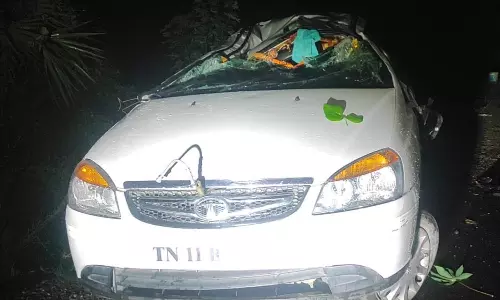 வந்தவாசி அருகே கார் கவிழ்ந்து தந்தை-மகன் பலி