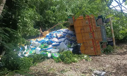 திண்டிவனம் அருகே உப்பு மூட்டைகளை ஏற்றிவந்த லாரி கவிழ்ந்து விபத்து: டிரைவர், கிளீனர் படுகாயம்