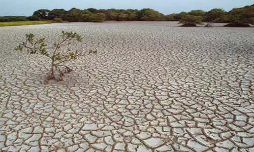 பெரு நாட்டில் 544 மாவட்டங்களில் அவசரநிலை பிரகடனம்: எல் நினோ எதிரொலி