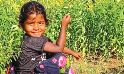 சாலை விபத்தில் சிறுமி பலி