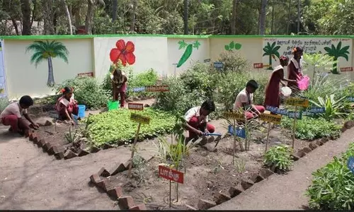 அரசு பள்ளிகளில் மூலிகை தோட்டம்