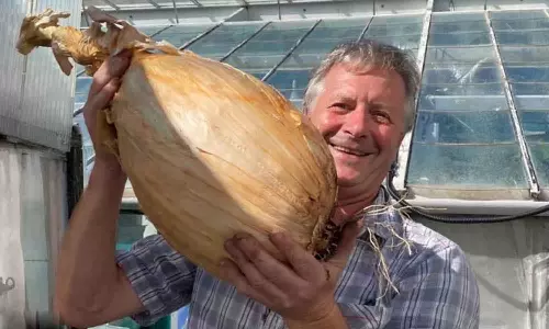 9 கிலோ எடையில் சாதனை படைத்த வெங்காயம்