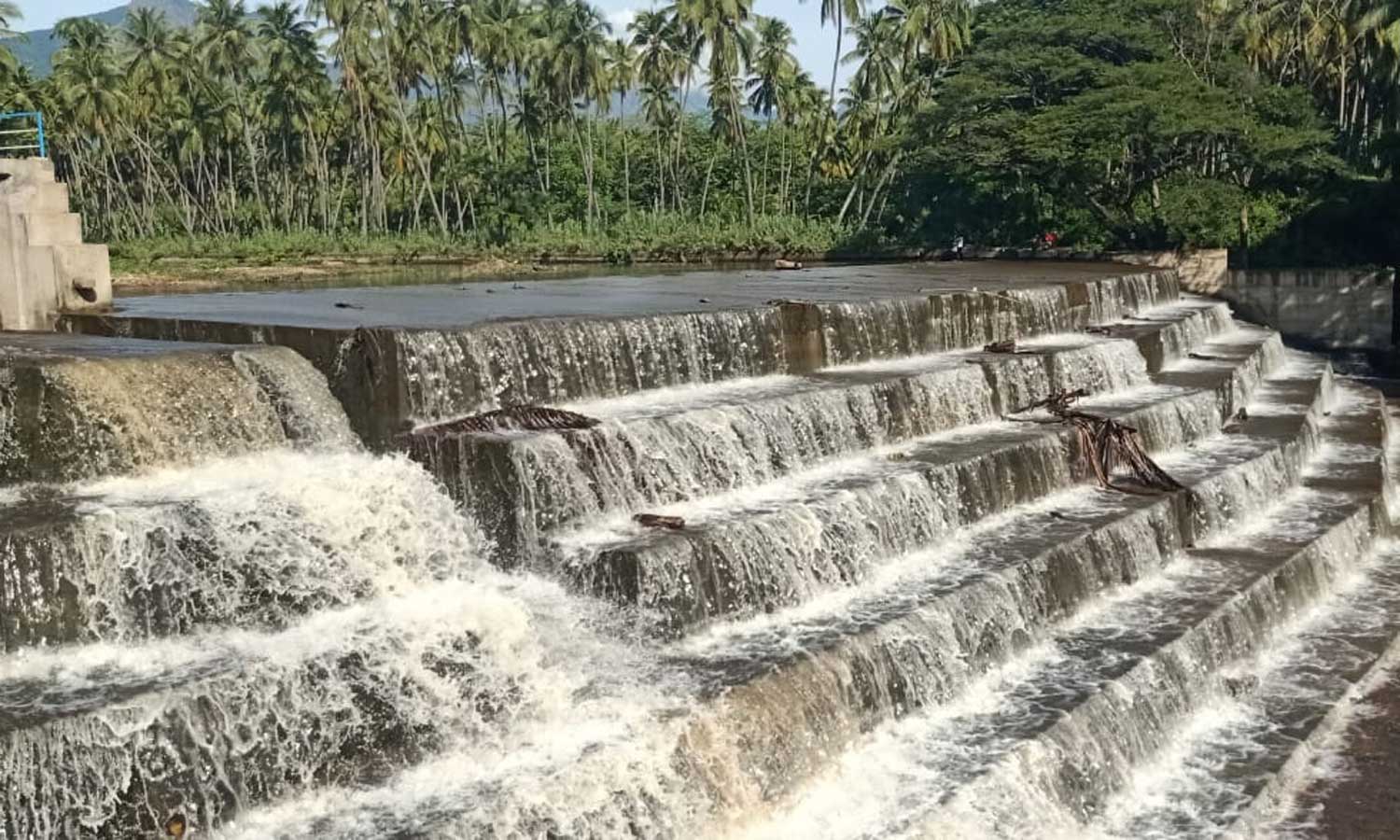போடியில் தொடர்மழை: அணைப்பிள்ளையார் நீர்வீழ்ச்சியில் தண்ணீர் வரத்து அதிகரிப்பு