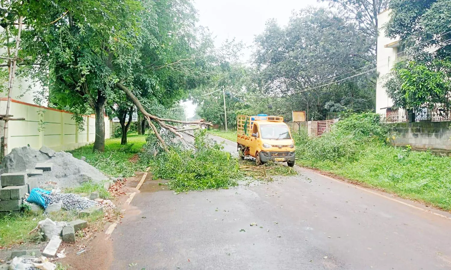 கனமழையால் சாலையில் சாய்ந்த மரம்