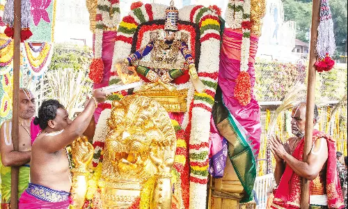 சிம்ம, முத்துப்பந்தல் வாகனங்களில் மலையப்பசாமி வீதி உலா