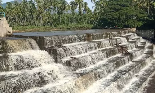 போடியில் தொடர்மழை: அணைப்பிள்ளையார் நீர்வீழ்ச்சியில் தண்ணீர் வரத்து அதிகரிப்பு