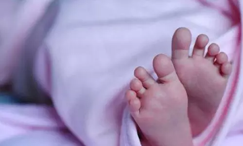 கோவில்பாளையம் அருகே முட்புதரில் வீசப்பட்ட பச்சிளம் ஆண் குழந்தை உடல்