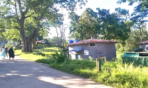 முதுமலை சரணாலயத்தில் அடிப்படை வசதிகள் இல்லாததால் சுற்றுலாபயணிகள் அவதி