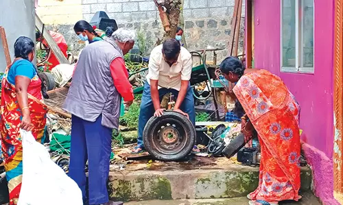 டெங்கு கொசு ஒழிப்பு பணி தீவிரம்