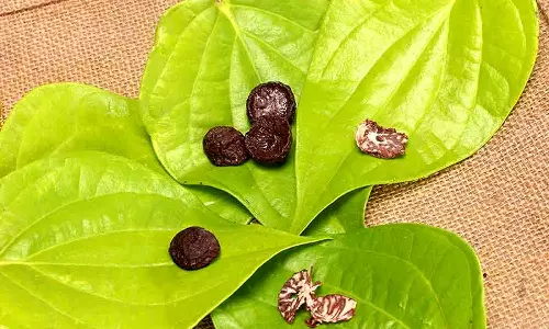 புதுமாப்பிள்ளைகளுக்கு வெற்றிலையின் மகத்துவம் தெரியுமா?